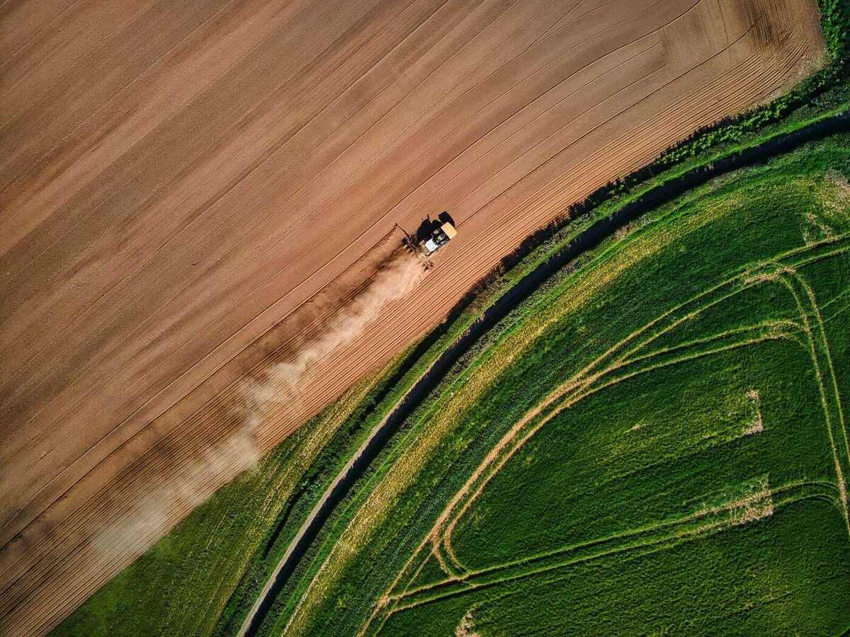 Vista aérea cinematográfica de lavouras ao entardecer